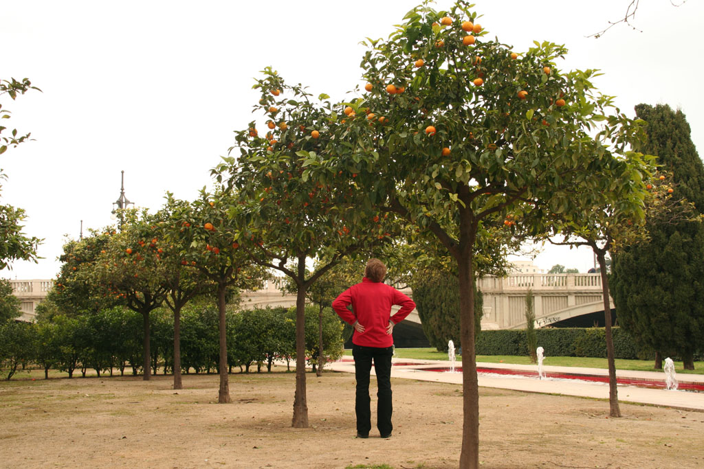 Valencia07